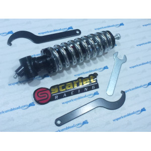 Molla Sport, regolabile, forcella, anteriore