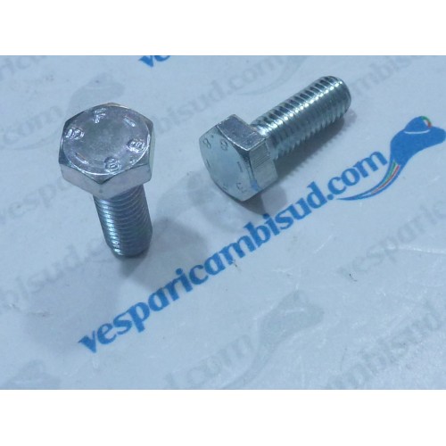 COPPIA BULLONE MARCHIATO 3 F 8.8 M8x22 mm, esagonale CHIAVE DA 13