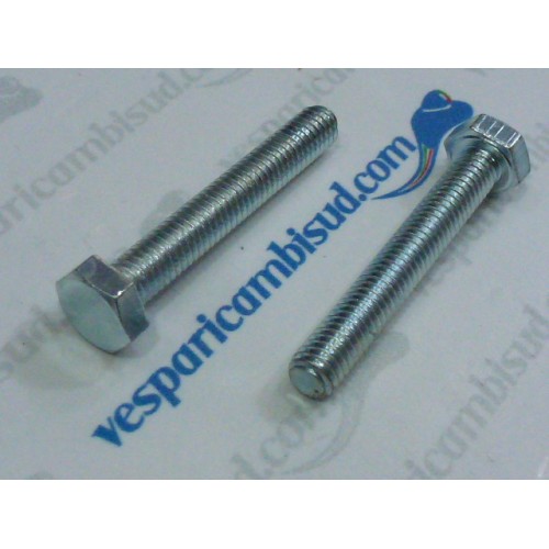 COPPIA BULLONE TESTA ESAGONALE ZINCATO M6X30