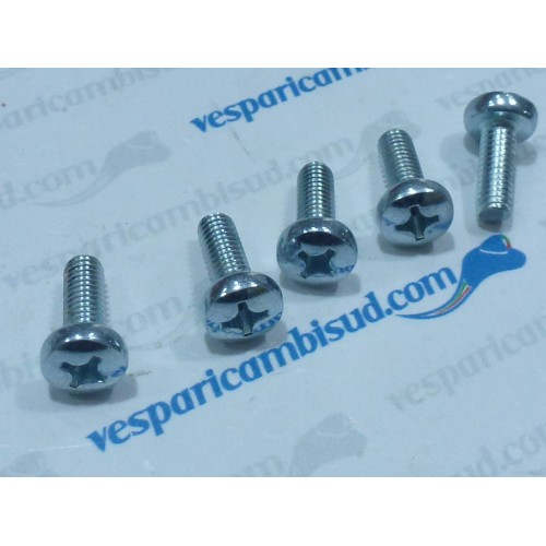 VITE TESTA CILINDRICA TAGLIO CROCE COPRIVENTOLA - M6x16 mm KIT DI 5 VITI