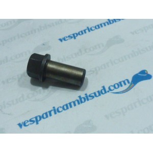 VITE FISSAGGIO CARBURATORE 