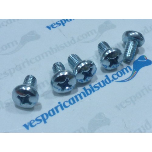 VITE TESTA CILINDRICA TAGLIO CROCE COPRIVENTOLA - M6x10 mm KIT DI 5 VITI