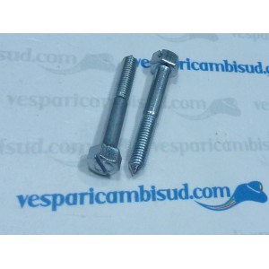 COPPIA VITE COPERCHIO SCATOLA CARBURATORE