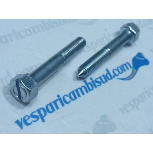 COPPIA VITE COPERCHIO SCATOLA CARBURATORE
