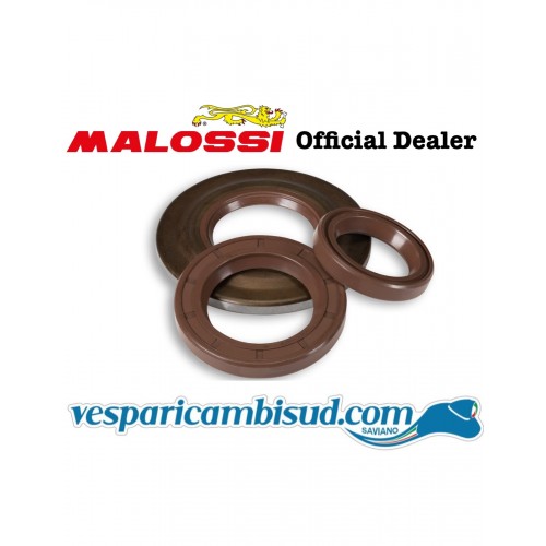 SERIE PARAOLI MOTORE MALOSSI PER VESPA PX 125-150-200 COSA 125-150-200