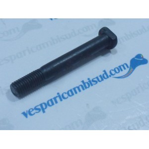 PRIGIONIERO CHIUSURA CARTER M7 x 58 mm
