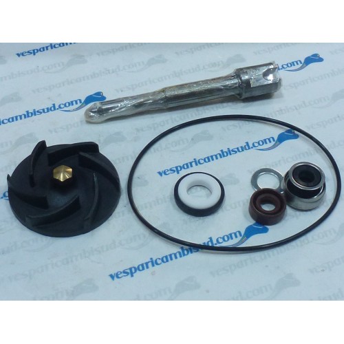 Kit Revisione Pompa Acqua Beverly X8 X9 400 500