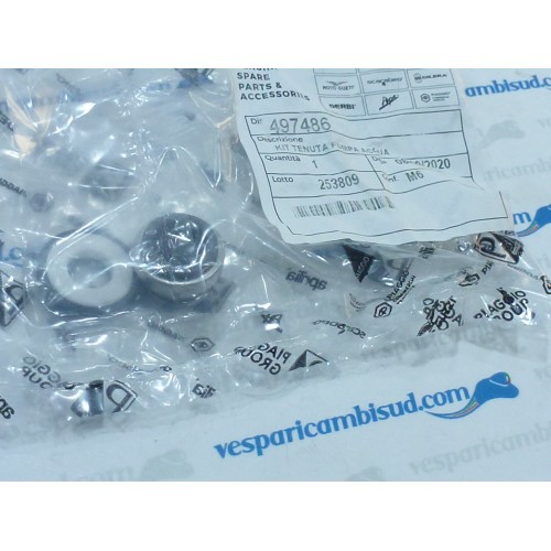 KIT TENUTA PARAOLI POMPA ACQUA originali piaggio cod.497486