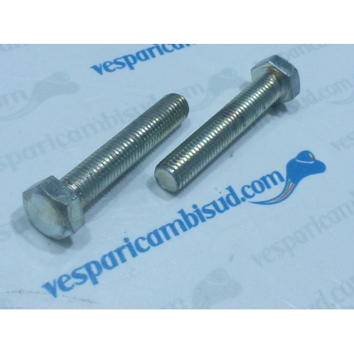 VITE TESTA ESAGONALE M 7x40 1 PEZZO
