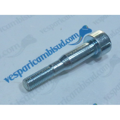 VITE FISSAGGIO CARBURATORE VESPA 125/150/200 PX 98FD MY01 11/17 PIAGGIO 239265