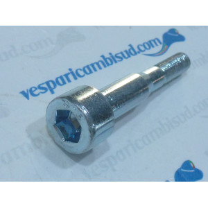 VITE FISSAGGIO CARBURATORE VESPA 125/150/200 PX 98FD MY01 11/17 PIAGGIO 239265