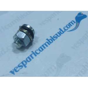 VITE DI FISSAGGIO LEVETTA STARTER VESPA 50-90-125CC PRIMAVERA - ET3