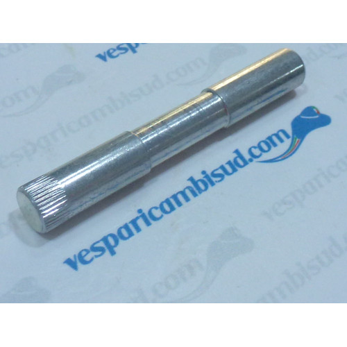 PERNO PEDALE FRENO POSTERIORE VESPA PXE 98 MY 11/17 
