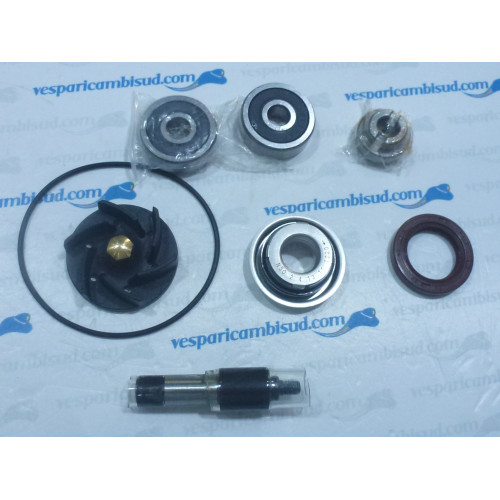 KIT REVISIONE RIPARAZIONE POMPA ACQUA PIAGGIO VESPA GTS 300 CC 2008 > 2013
