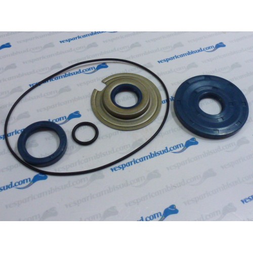 KIT PARAOLI MOTORE COMPLETO