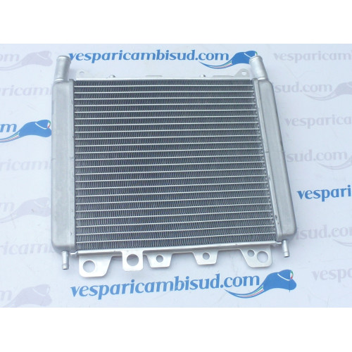 Radiatore Acqua Originale Piaggio 250 300 350 400 500 Beverly 2006 / 2020