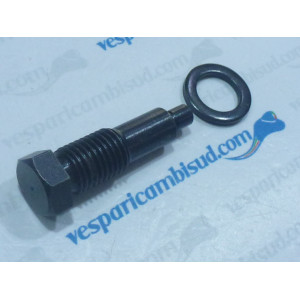 VITE SELETTORE CAMBIO CON RONDELLA PIAGGIO VESPA 50-125CC