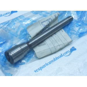 PERNO INGRANAGGIO MULTIPLO DA 18 PER APE 175 AD1T-2T