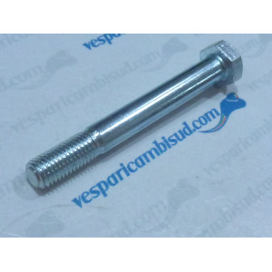 Bullone Vite ammortizzatore/carter M9x75 mm, esagonale, posteriore