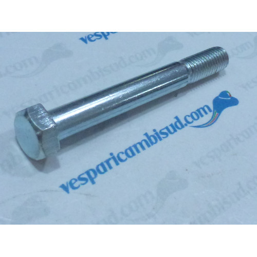 Bullone Vite ammortizzatore/carter M9x75 mm, esagonale, posteriore