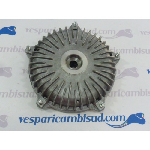 TAMBURO POSTERIORE 