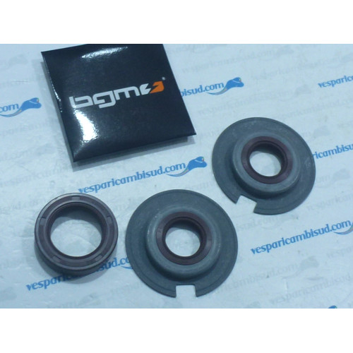 Kit paraoli per motori -BGM PRO, FKM in gomma marrone