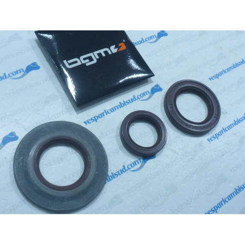 Kit paraoli per motori -BGM PRO, FKM in gomma marrone