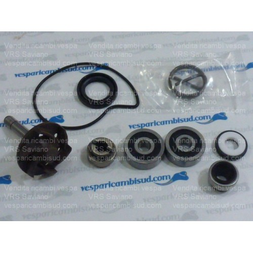 KIT REVISIONE POMPA ACQUA PIAGGIO 250 Beverly Rst 2004-2005