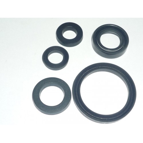 KIT PARAOLI MOTORE GUZZI CARDELLINO 73