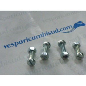 4 VITI TARGA  TESTA A TAGLIO M5X14