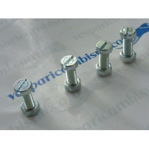4 VITI TARGA  TESTA A TAGLIO M5X14