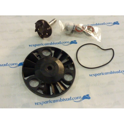 KIT REVISIONE POMPA ACQUA MOTORI PIAGGIO 4T 125-180-200